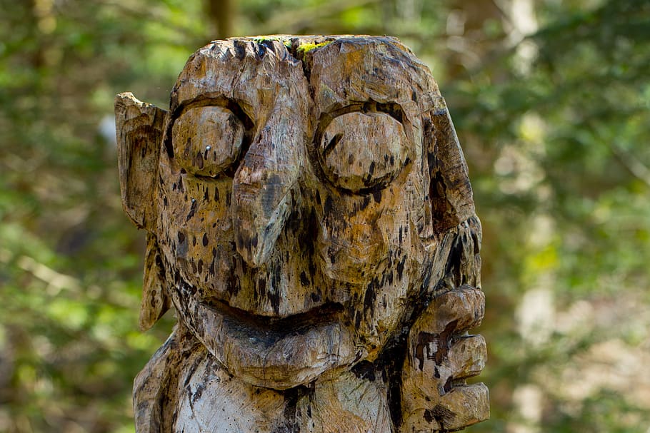 kobold, figure, face, look, holzfigur, carving, forest, wood, HD wallpaper