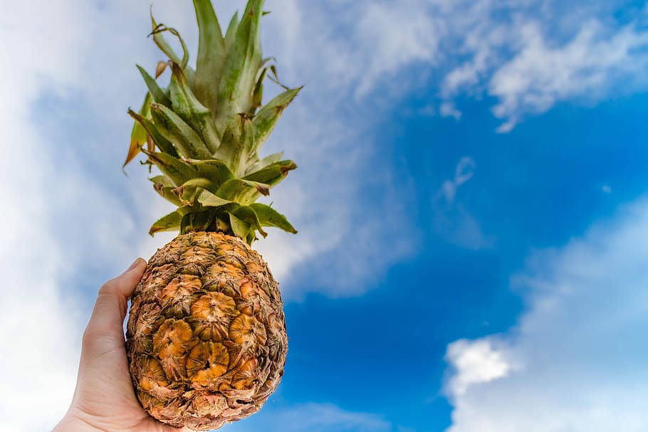nature, summer, sky, pineapple, tropical, fruit, human hand HD wallpaper