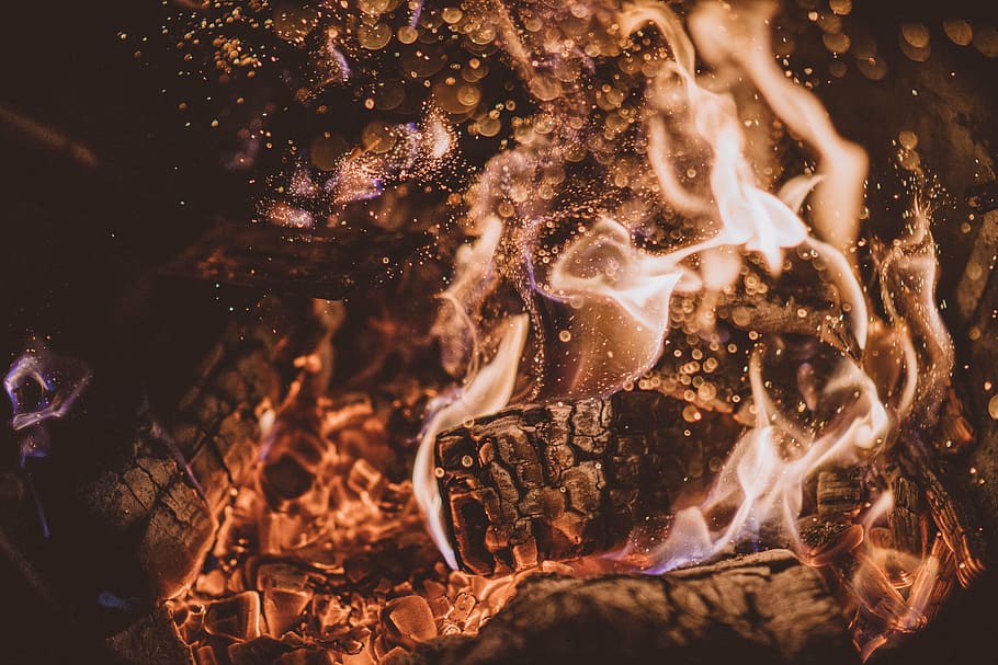 bonfire, flame, light, firewood, charcoal, ash, heat, campfire HD wallpaper