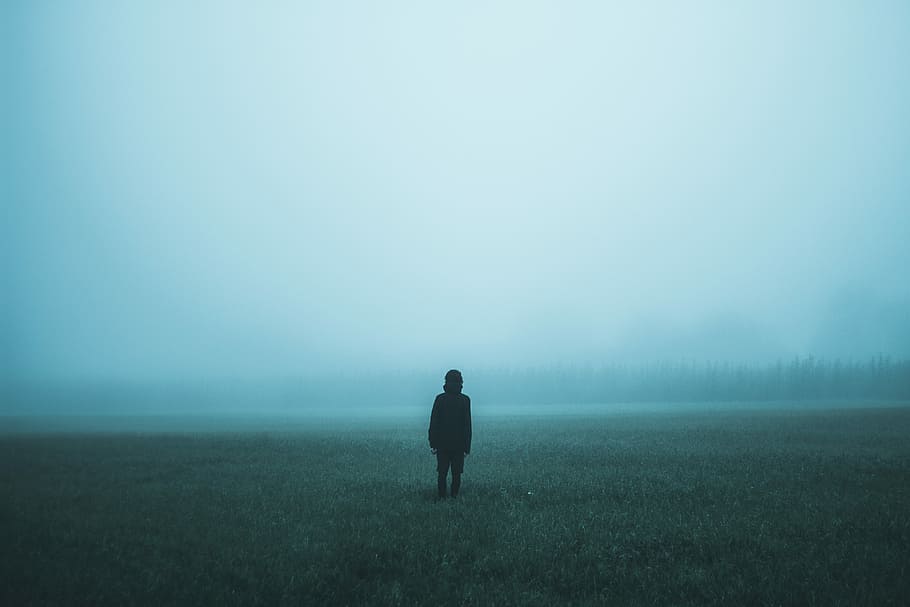 person standing on misty ground, person standing on field, fog, HD wallpaper