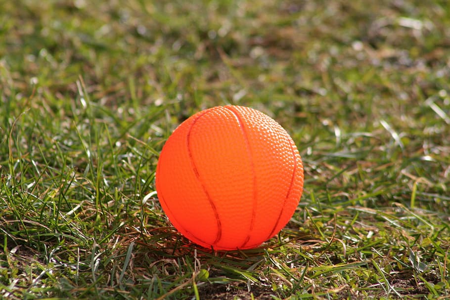 ball, orange, grass, sport, orange color, close-up, plant, day HD wallpaper