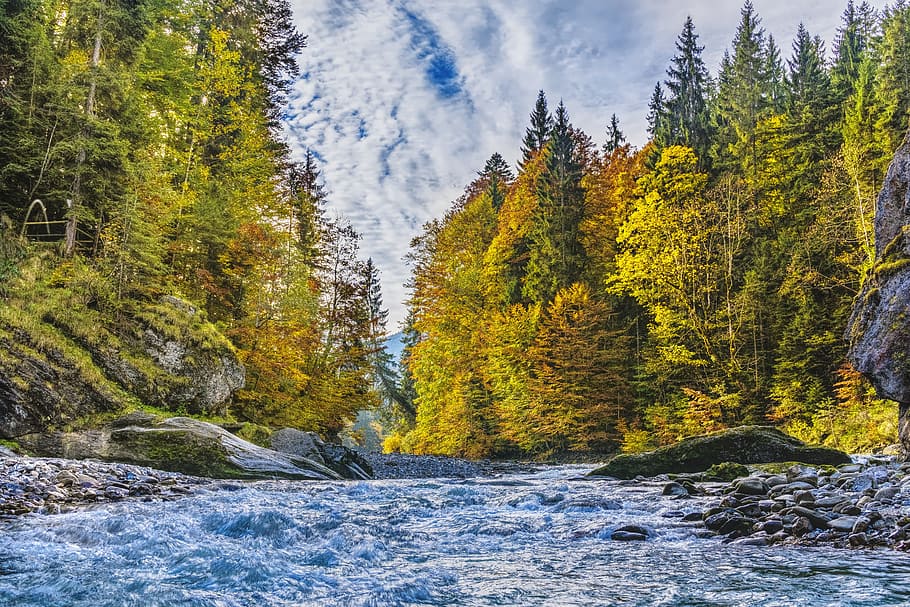ammer, alpine, autumn, trees, river, color, beautiful, idyll HD wallpaper