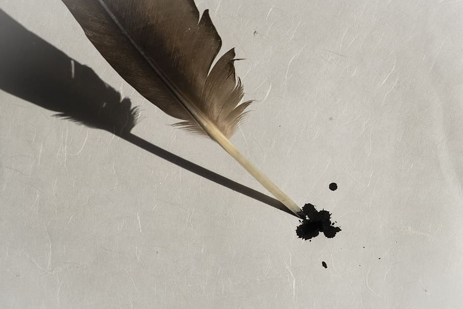 black ink on brown feather, bird feather, paper, parchment, handmade paper