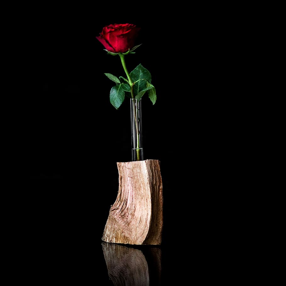 Rose Flower Drawing in Vase Cutting Board
