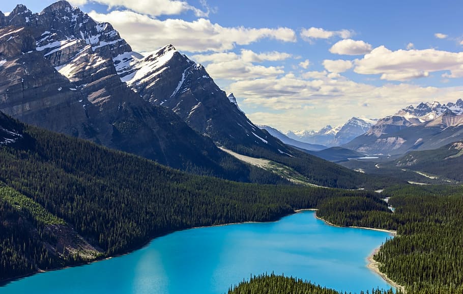 Peyto Lake - Banff National Park, body of water surrounded by mountain at daytime HD wallpaper