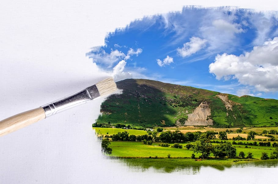 closed up photo of white handled paint brush with green grass painting, HD wallpaper