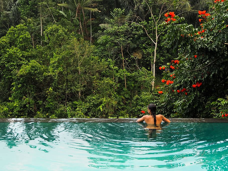 woman swimming at pool during daytime, Jungle, Girl, Bali, Ubud, HD wallpaper