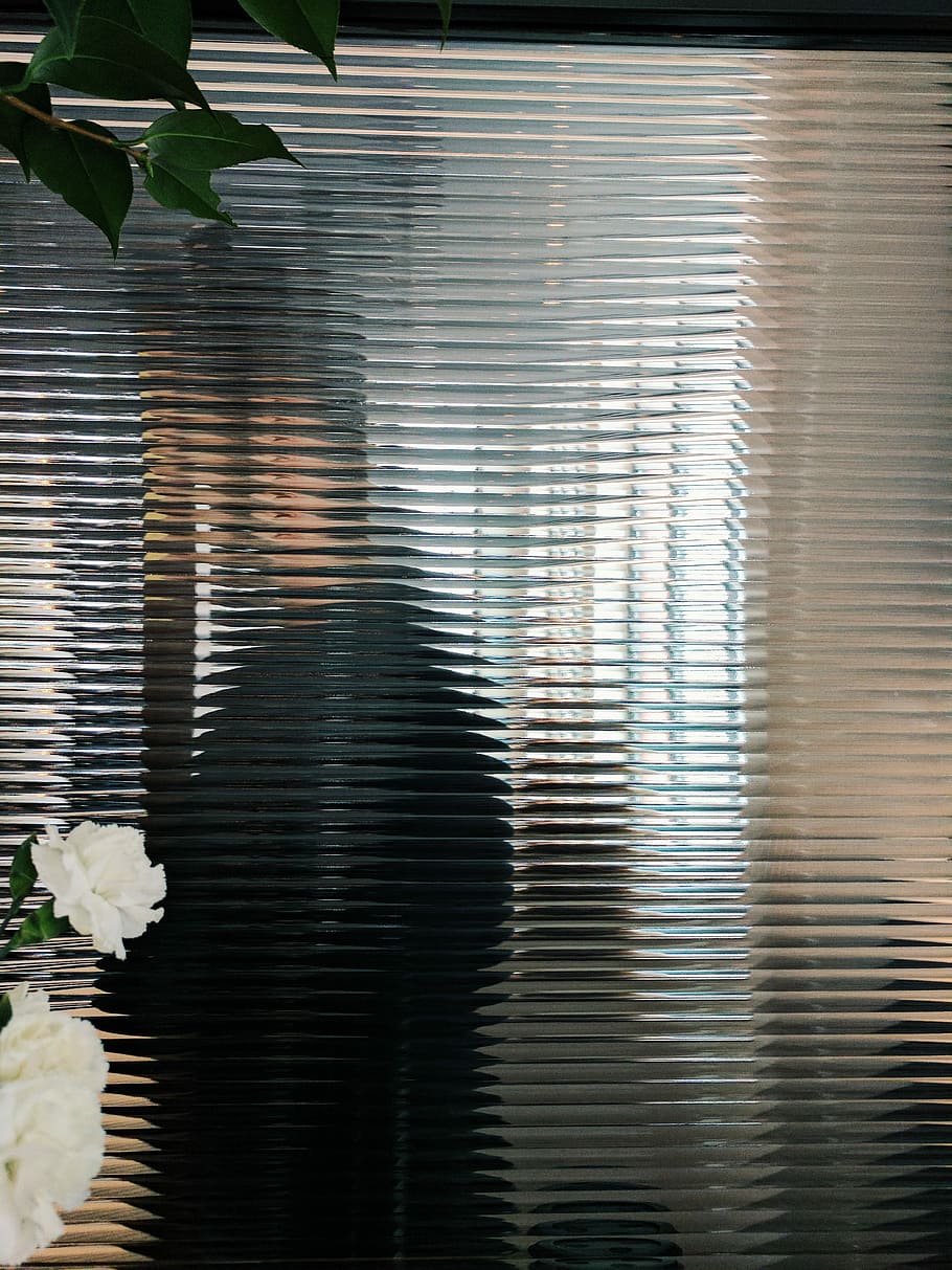 untitled, window, silhouette, plant, leaf, flower, glass, pattern HD wallpaper