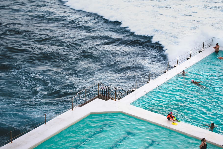 people swimming in pool near sea during daytime, aerial view photography of swimming pool near ocean HD wallpaper