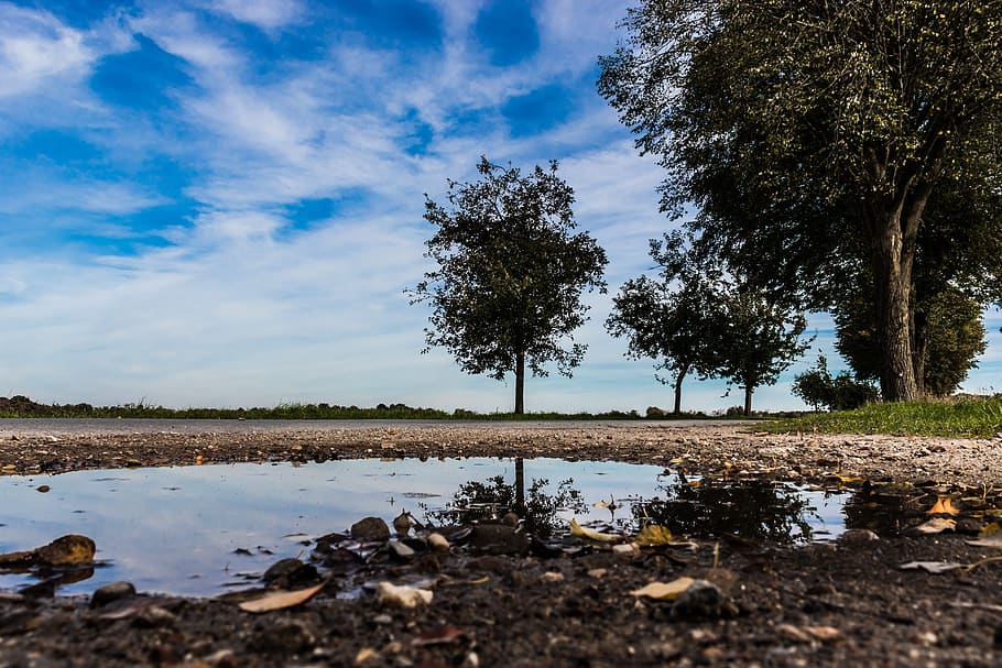 landscape, sky, clouds, nature, trees, plant, water, cloud - sky HD wallpaper