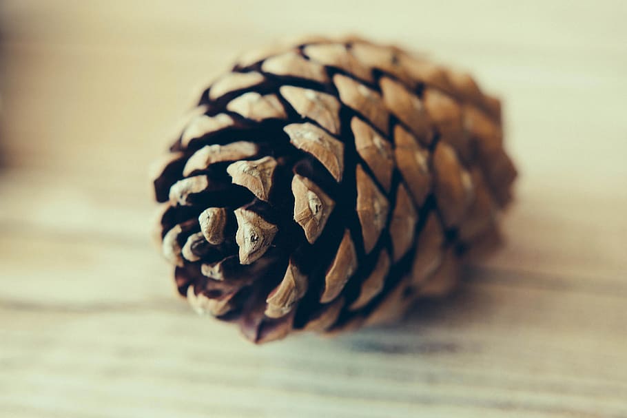 brown pinecone on brown surface, blur, close-up, focus, pine cone HD wallpaper