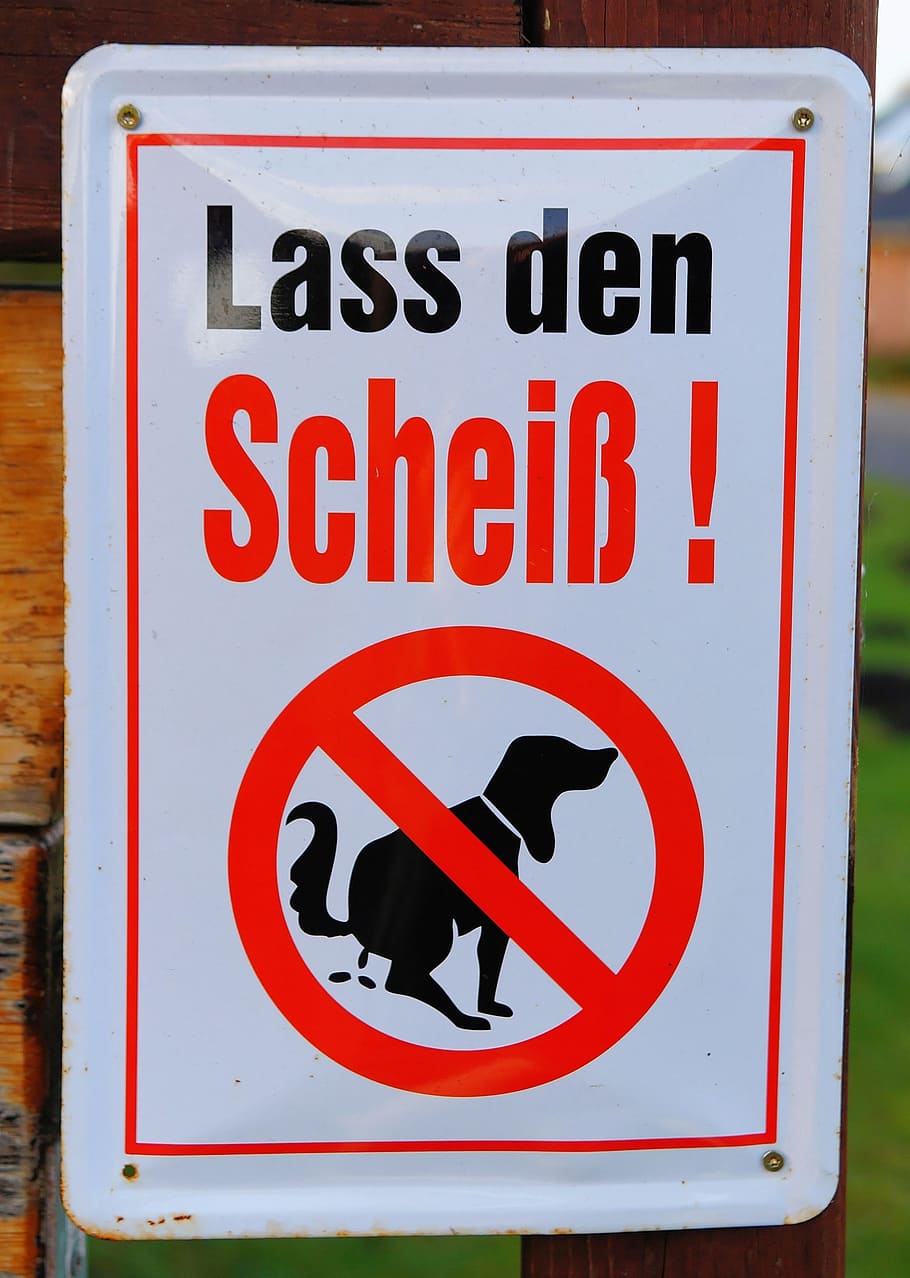 shield, prohibition signs, red, front yard, dog excrement, ban HD wallpaper