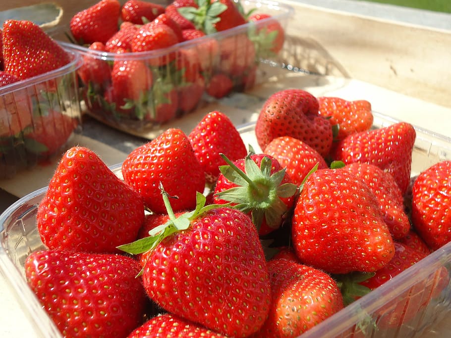 strawberries, spring, summer, market, agriculture, power, fruit HD wallpaper