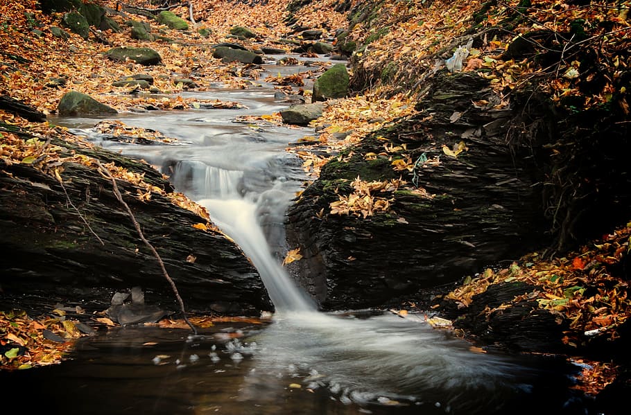 time lapse photography of river with brown dried leaves, waterfall HD wallpaper