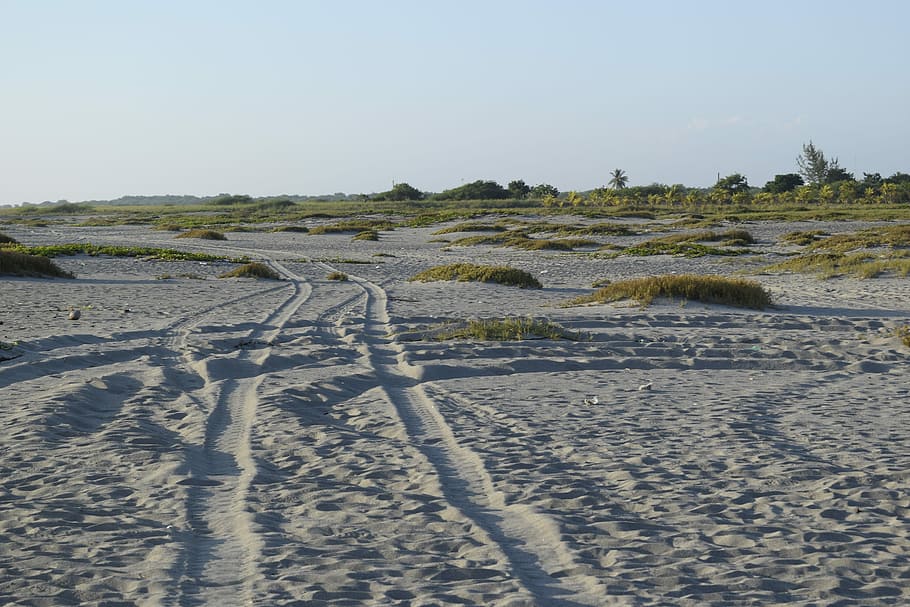 beach, sand, path, footprints, sky, day, land, nature, no people HD wallpaper