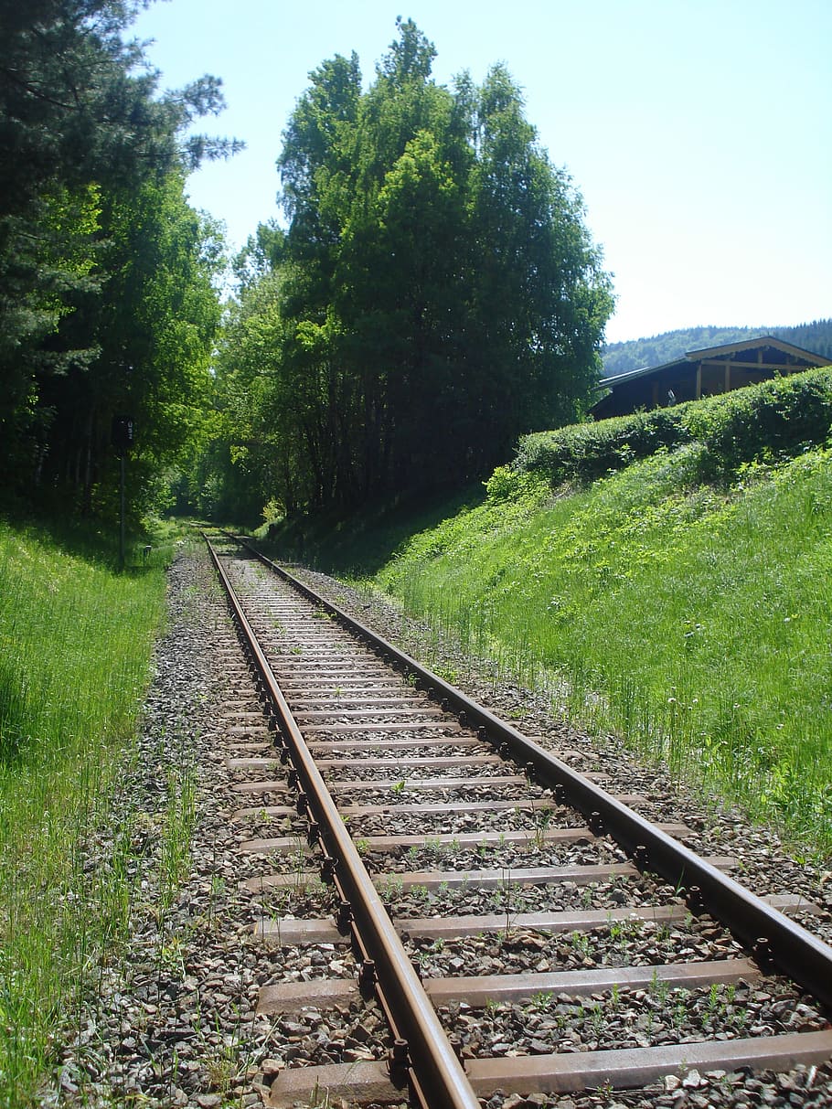 Track, Train, Forest, summer, railroad track, rail transportation HD wallpaper