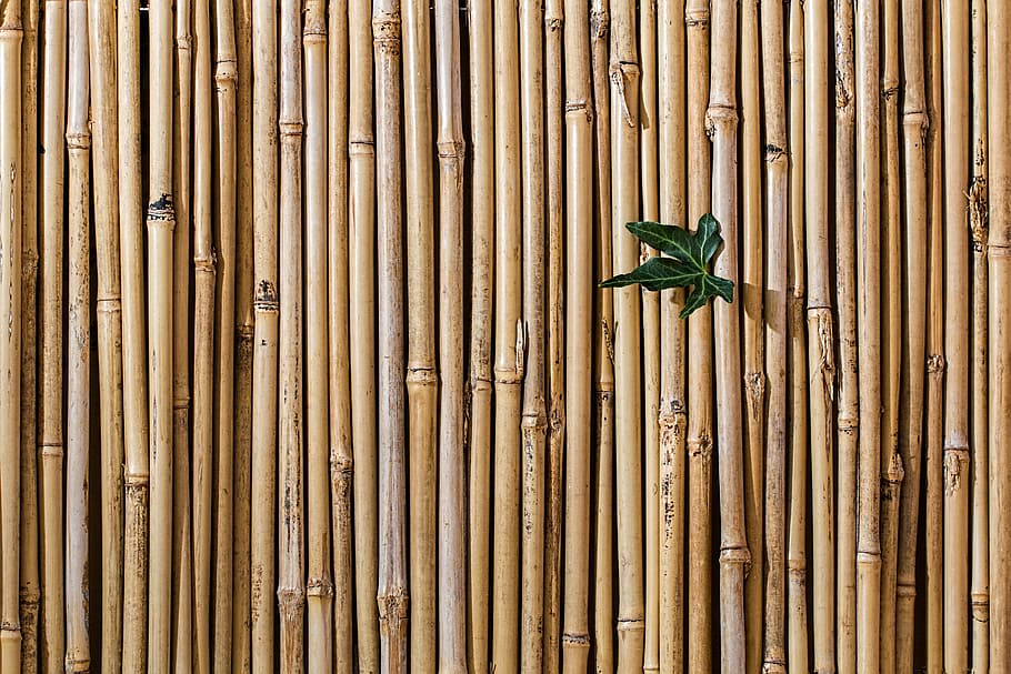 Bamboo wood. Brown wooden texture..Nature bamboo board for design backdrop  wallpaper tiled floor. Background. Japanese style. Stock Photo