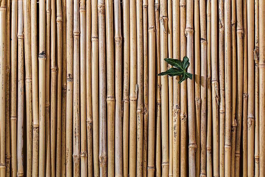 Bamboo - material 1080P, 2K, 4K, 5K HD wallpapers free download