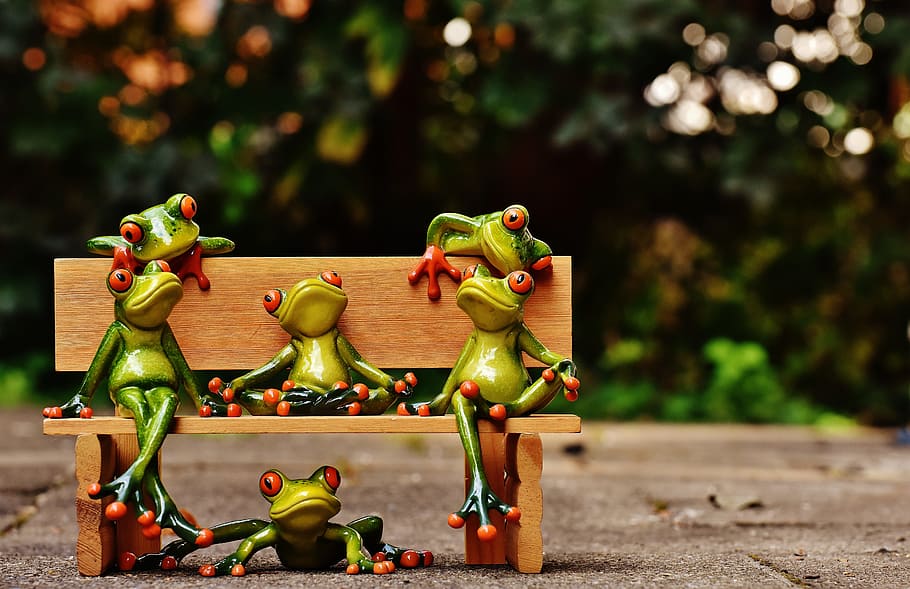 frogs, sociable, bank, bench, relaxed, figure, funny, rest HD wallpaper