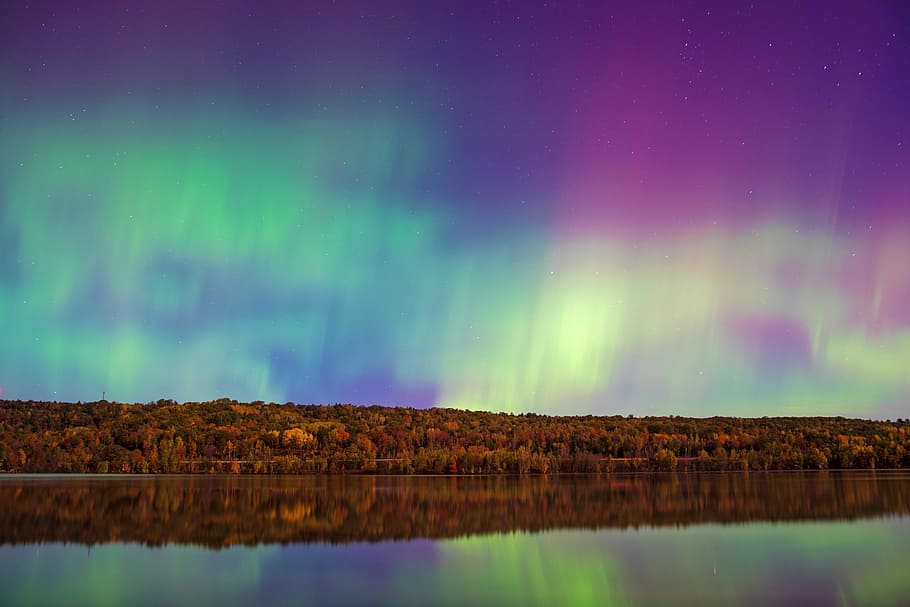 aurora sky under forest trees, untitled, aurora borealis, light HD wallpaper