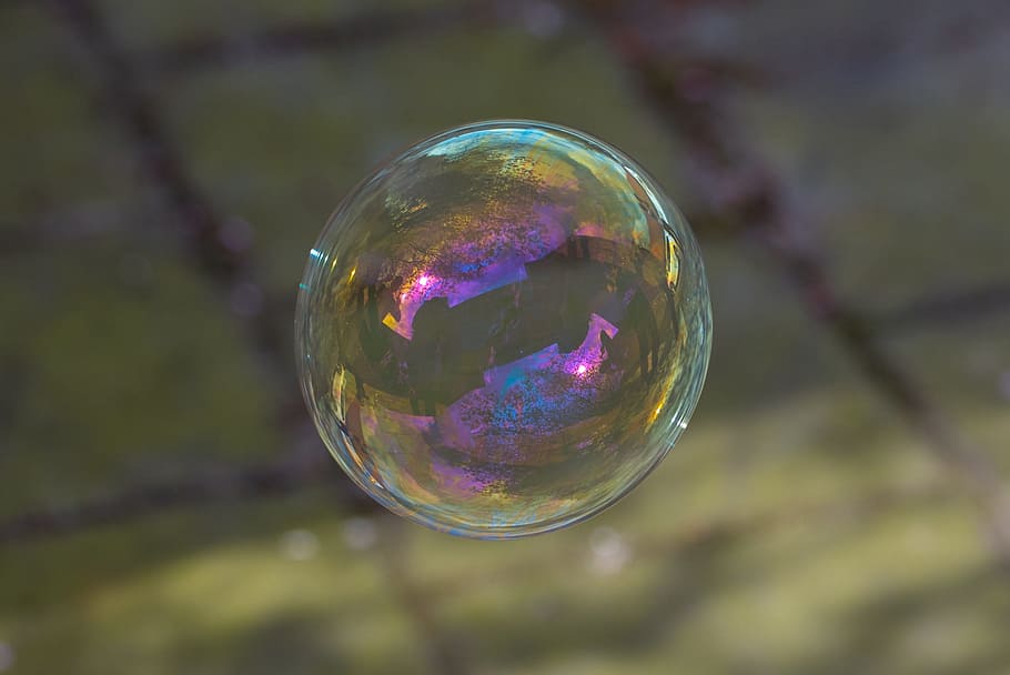 bubble, call bladder, fragility, sphere, vulnerability, focus on foreground HD wallpaper