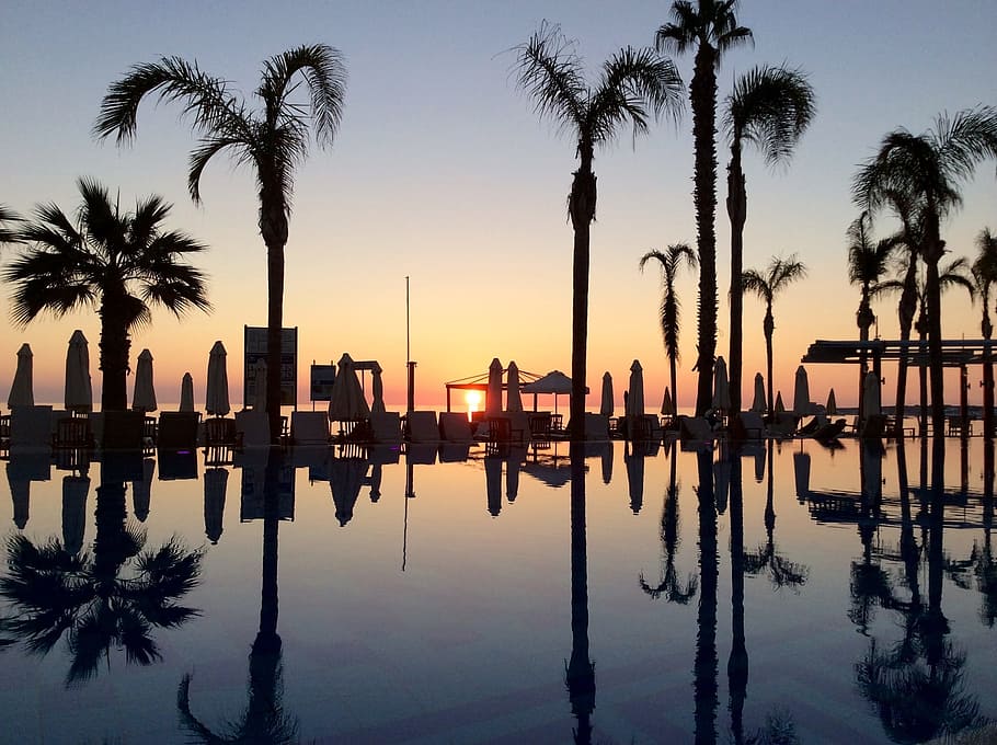 Cyprus, Scenic, Reflection, Sunset, palm trees, landscape, travel HD wallpaper