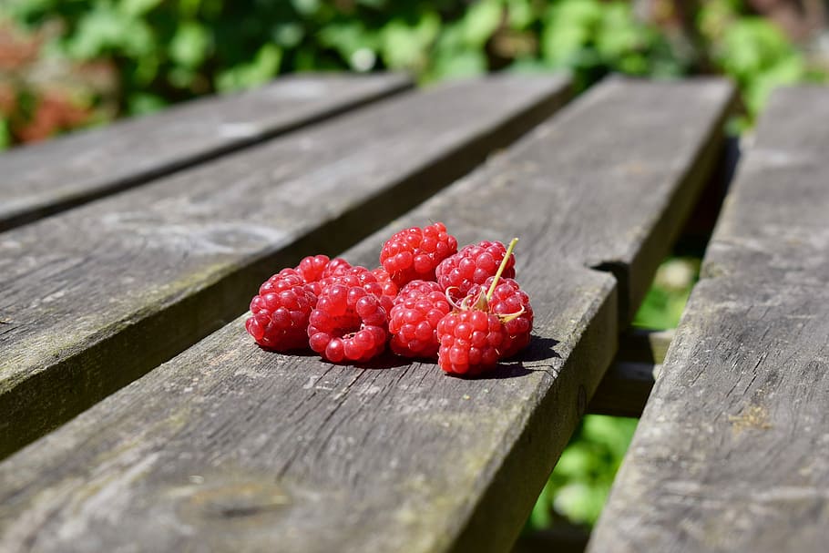 Raspberry, Harvest, Ripe, Eat, summer, food, fruit, strawberry HD wallpaper