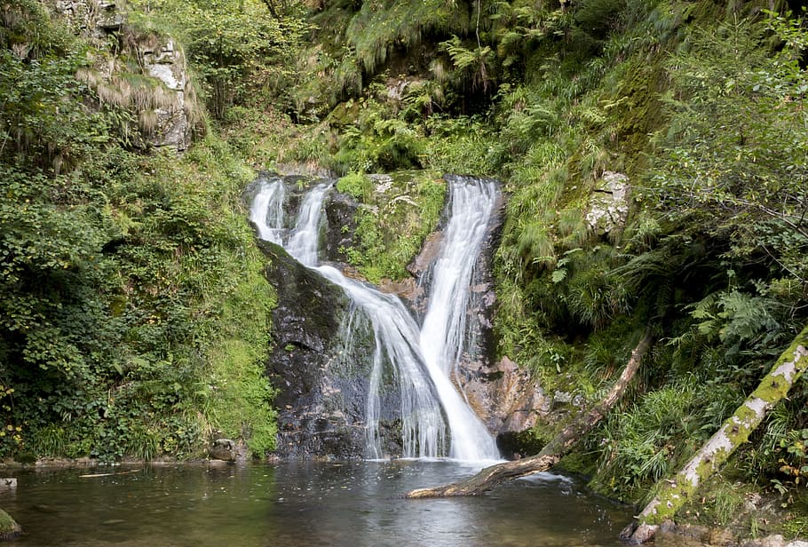 waterfalls between trees, all saints, source, nature, local recreation HD wallpaper