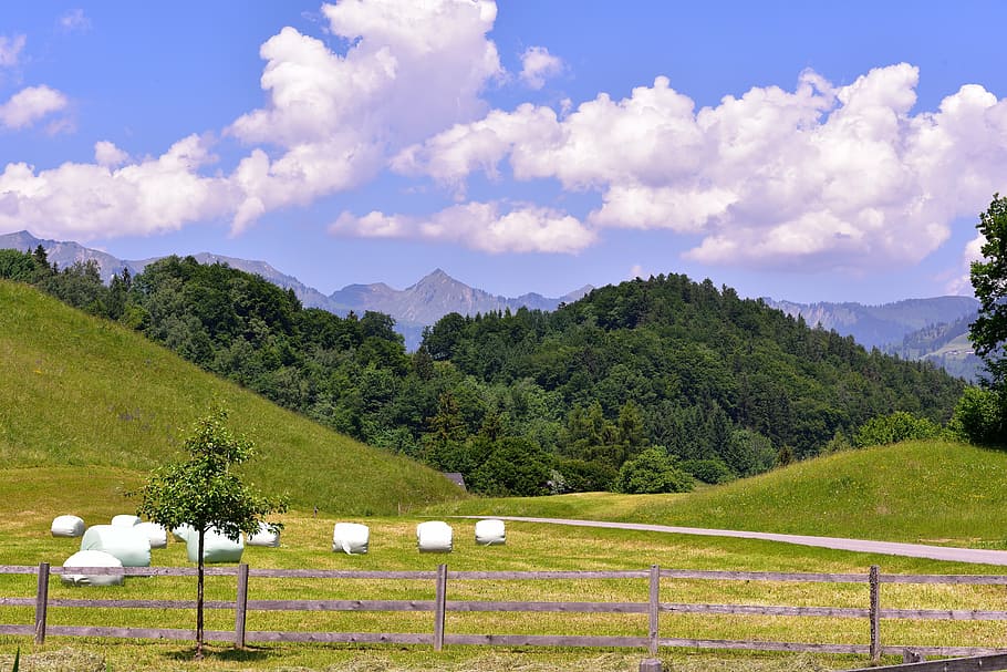landscape, reported, forests, mountains, sky, clouds, nature HD wallpaper