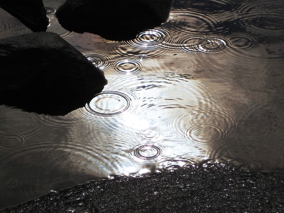 rain, raining, lake, water, stream, environment, rainy, wet HD wallpaper