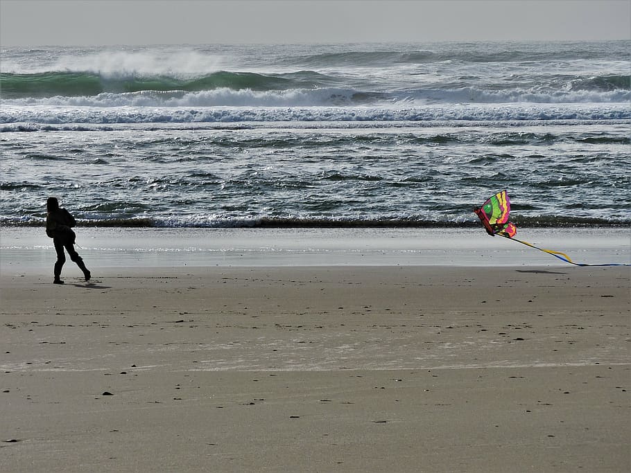 beach, kite, kite flying, fun, sand, coast, ocean, sport, sea HD wallpaper