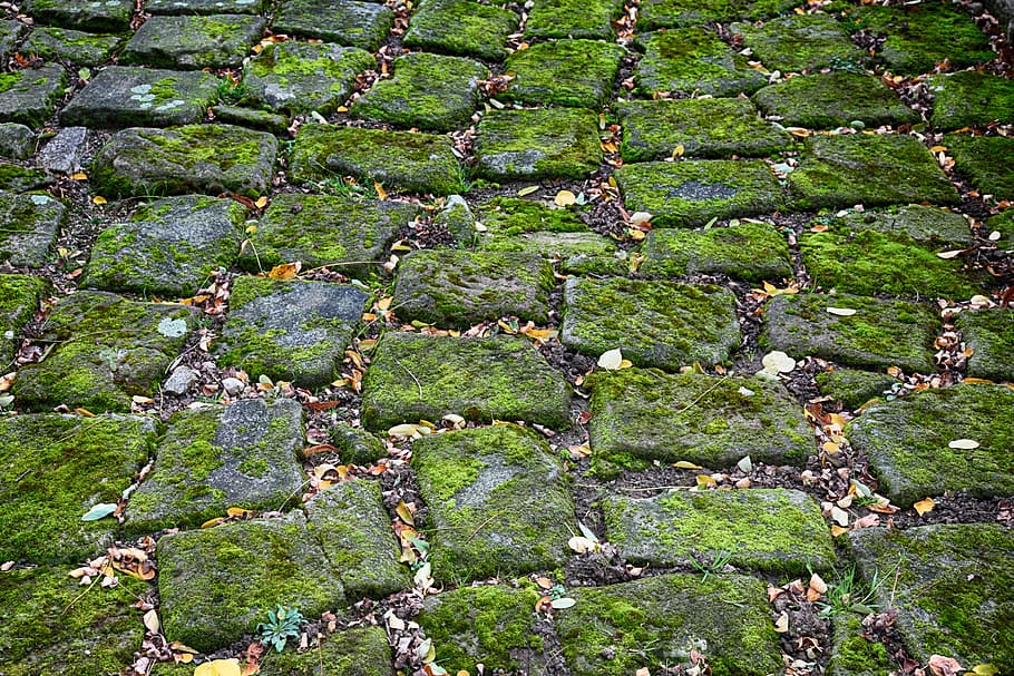 brick rocks covered by moss, cobblestones, green, roof, basalt, HD wallpaper