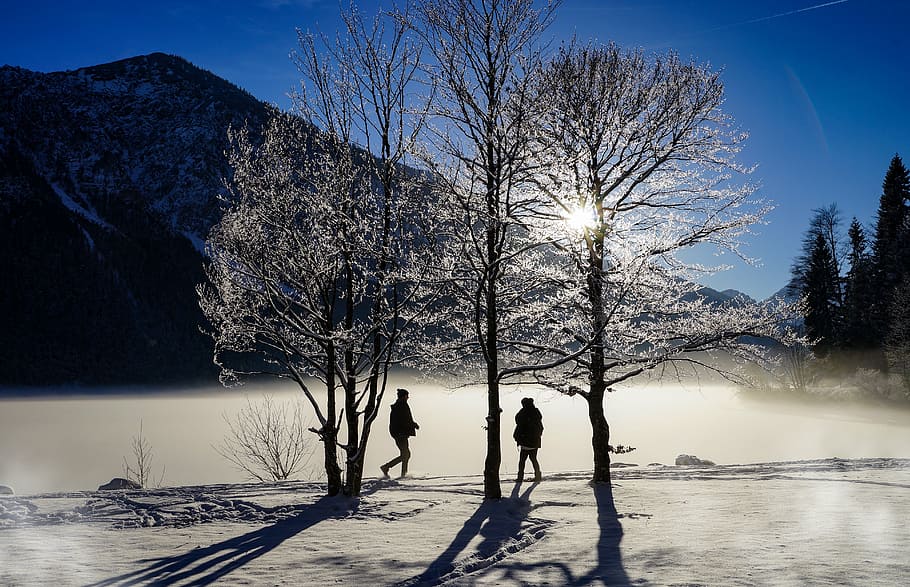 winter, lake, ice, wintry, snow, landscape, fog, cold, frozen lake HD wallpaper