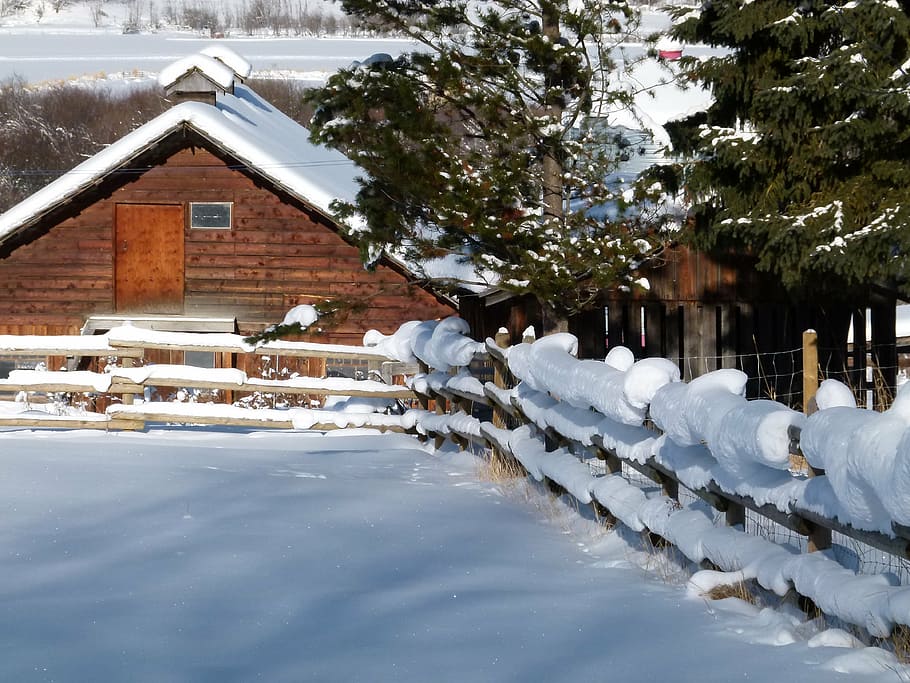 winter, winter dream, winter magic, snow, cold, sunny, snow covered HD wallpaper