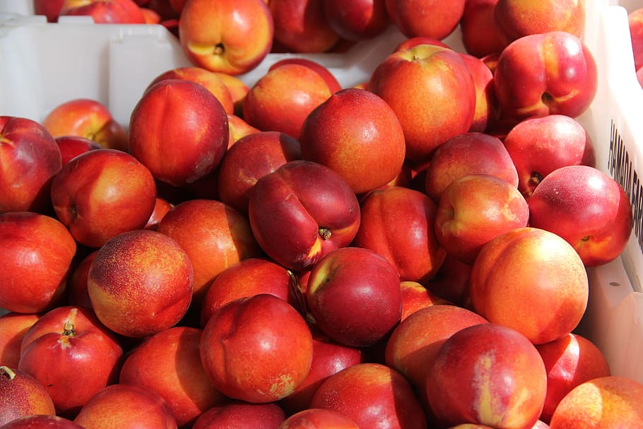 peach lot on box, nectarines, fruit, fresh, ripe, organic, food and drink HD wallpaper