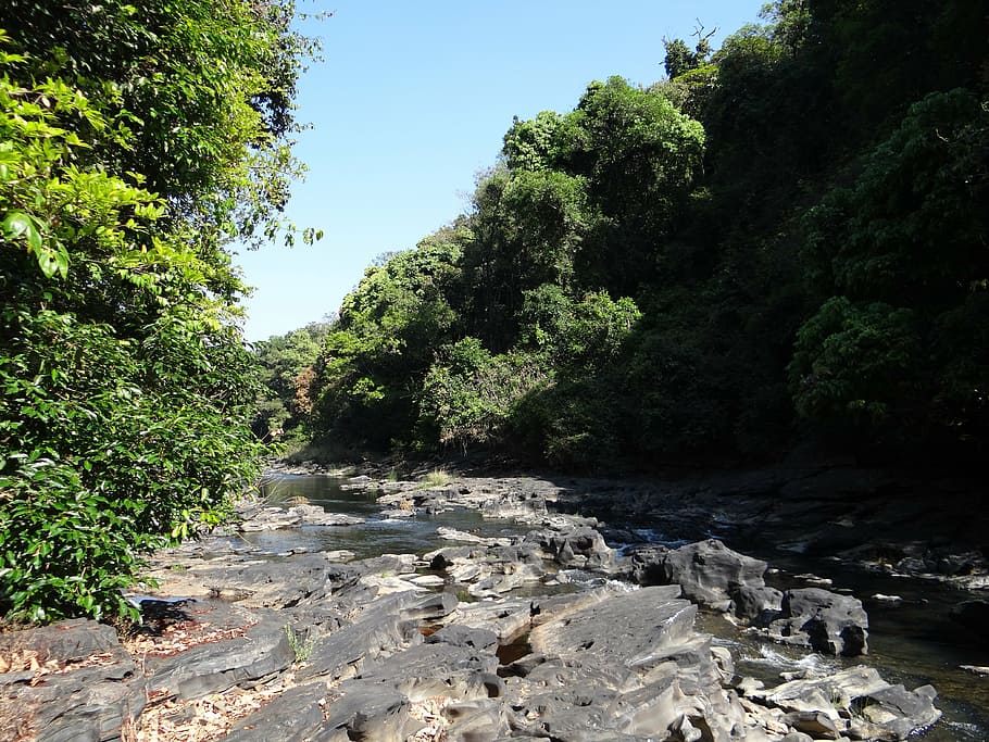 river, mandovi, river bed, water, flowing, mountainous, forests HD wallpaper