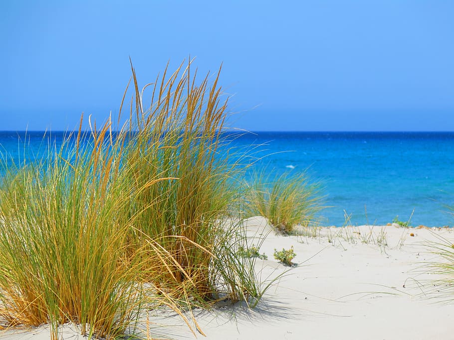 beach, sardinia, sea, sand, land, water, horizon over water HD wallpaper