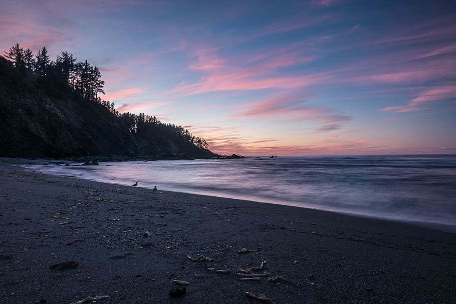 silhouette of mountain in seashores, two birds standing on shore near body of water HD wallpaper