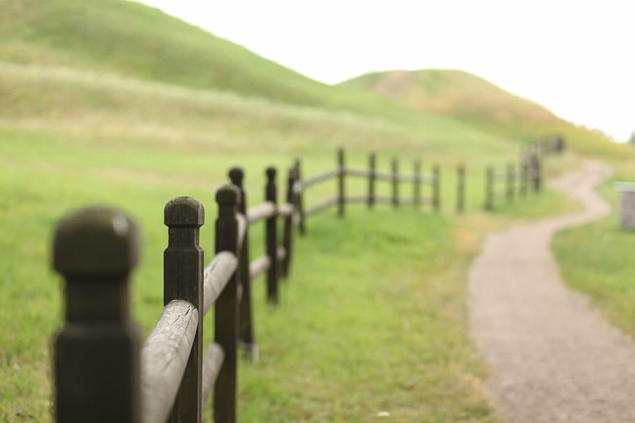 brown wooden fence beside gray road path, landscape, field, green