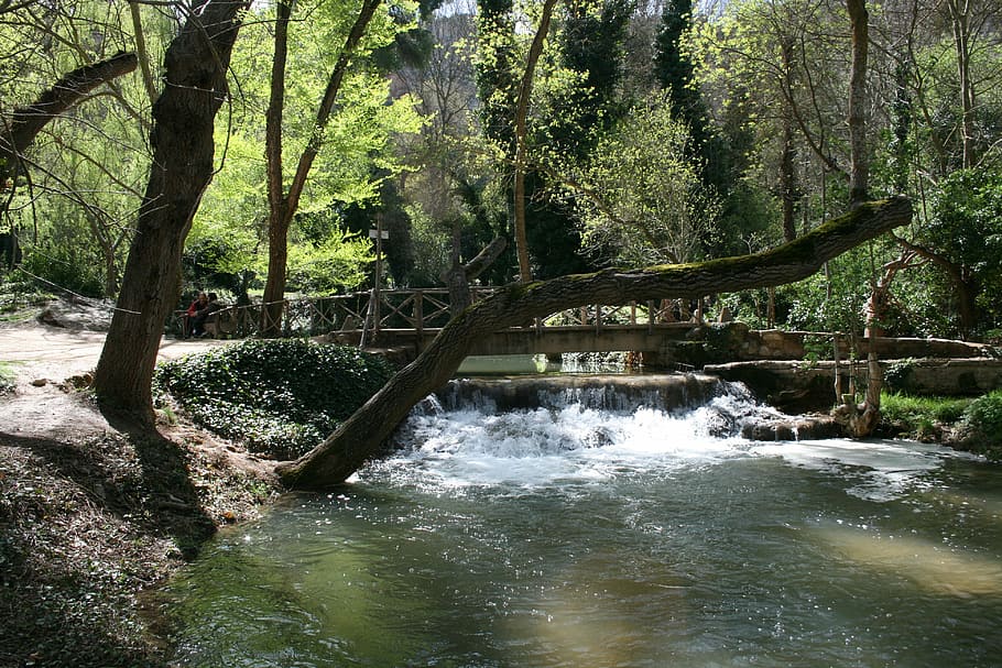 landscape, monastery, stone, tramp, flow, forest, tree, water HD wallpaper