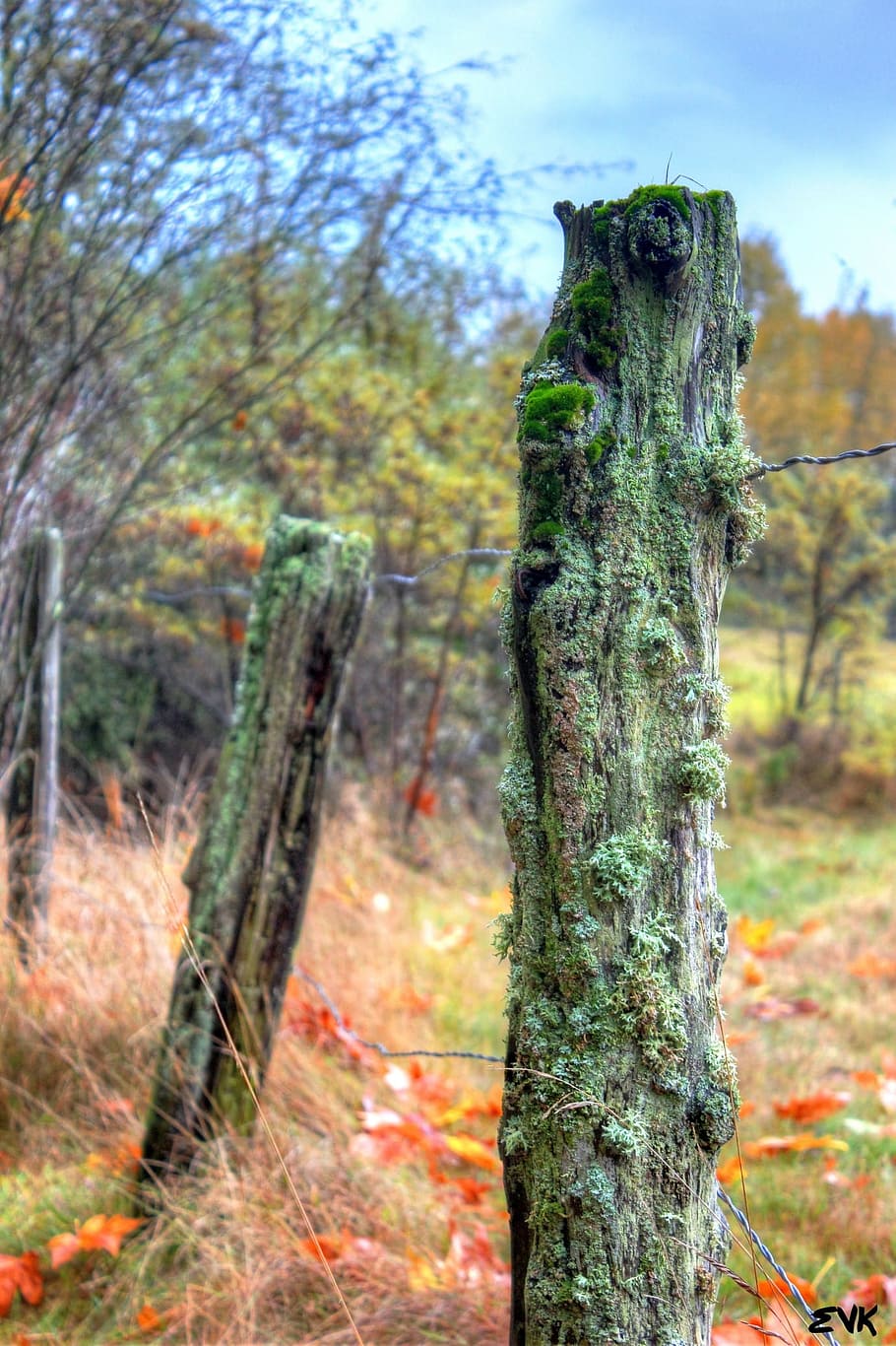fence, weathered, worn, wire, wood, old, nature, wooden, rough HD wallpaper