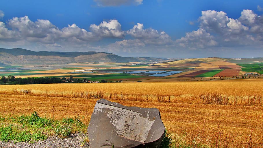 deleted, wrong, crap, agriculture, nature, rural Scene, farm HD wallpaper