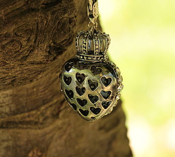 heart-shaped silver-colored pendant near brown tree trunk, crown HD wallpaper