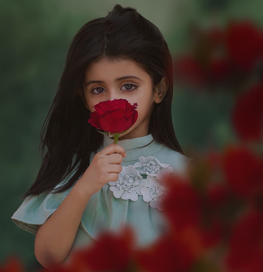 photo of girl holding red rose, portrait, woman, people, cute