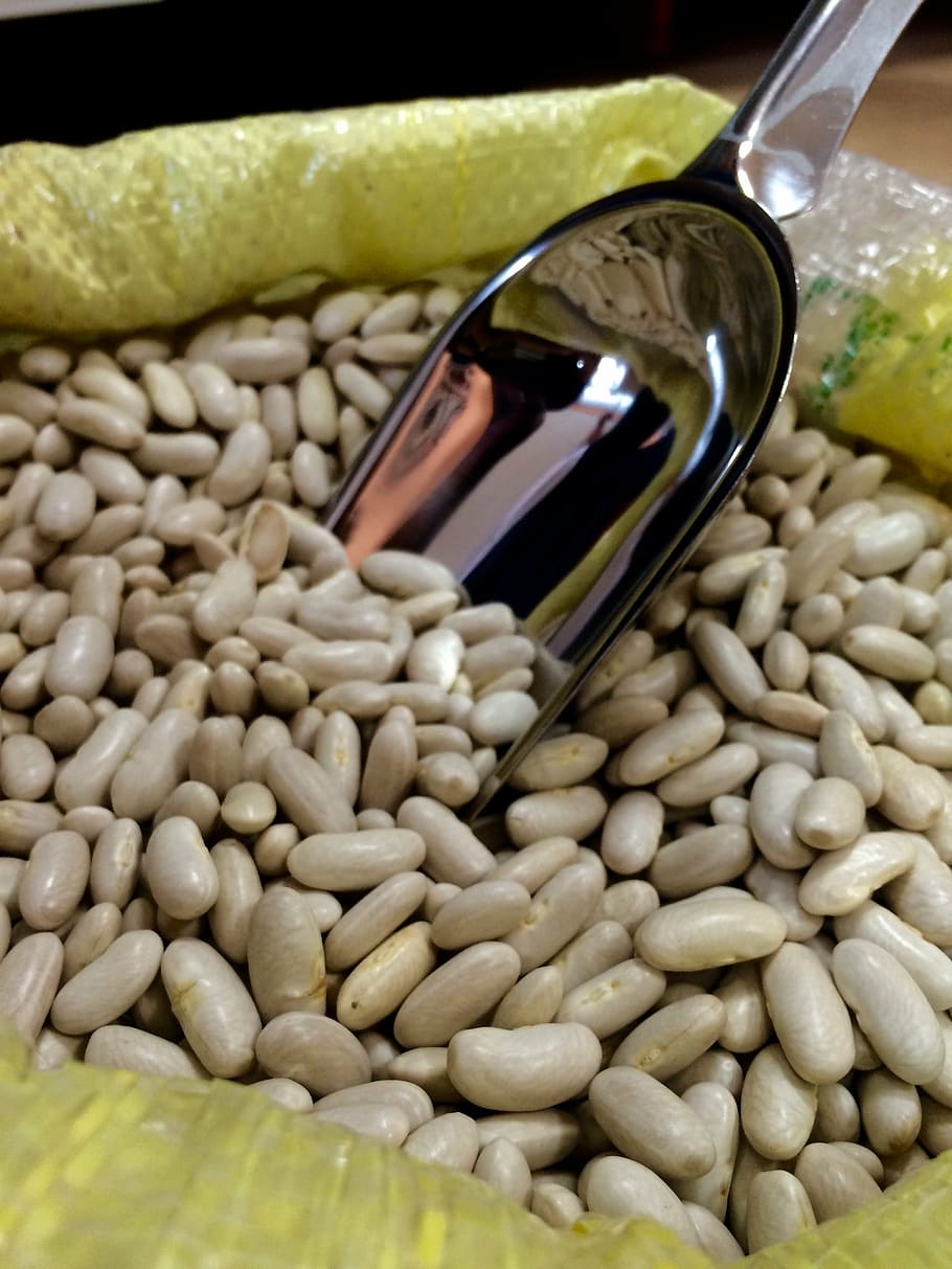 beans, silver, food, spoon, food and drink, wellbeing, healthy eating HD wallpaper