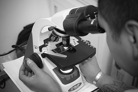 technology, microscope, research, microbiology, team, lab, analysis HD wallpaper