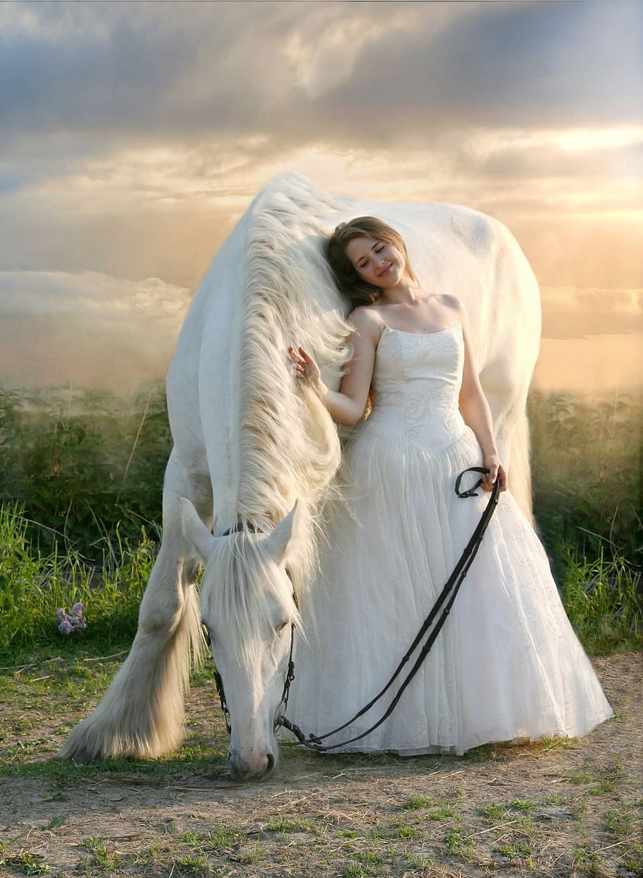 bride leaning on white horse, shire, equine, draft, white dress