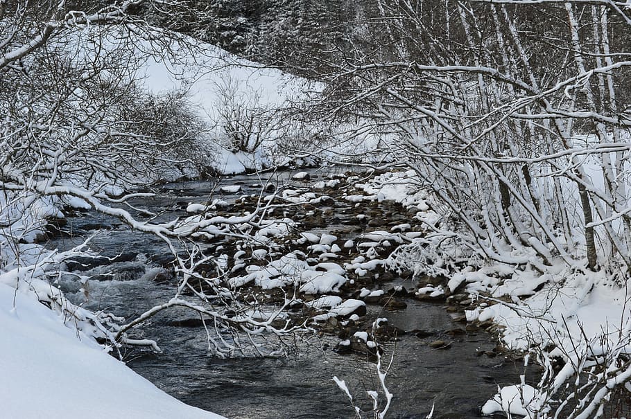 Winter, River, Ice, Snow, Wintry, Nature, water, tree, cold - Temperature HD wallpaper