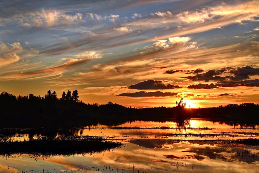 long exposure photography of silhouette of clouds and trees HD wallpaper