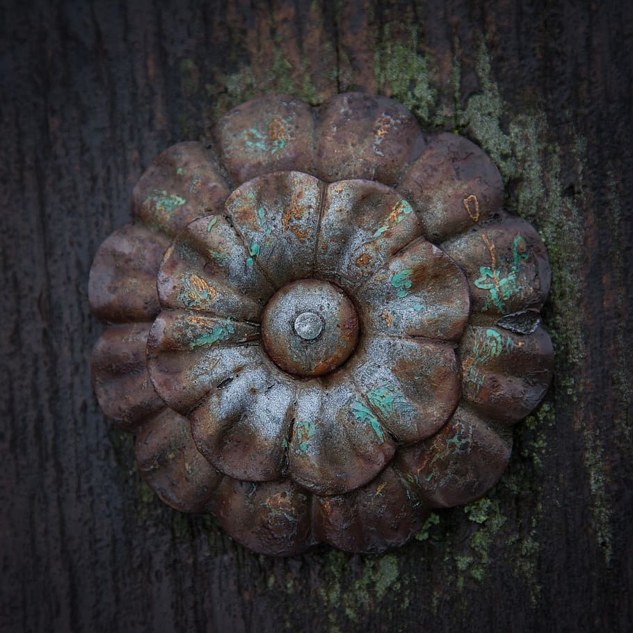 rose, metal, old, deco, door, iron, art, ornament, close, close-up HD wallpaper